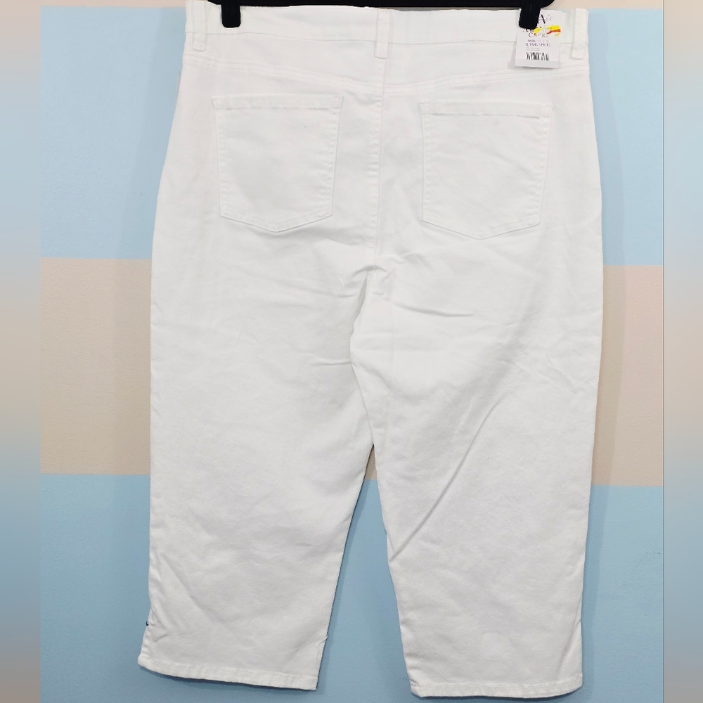 NWT Gloria Vanderbilt Plus Size Amanda Skimmer Capris - Picture 6 of 9